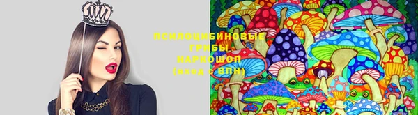 скорость mdpv Магас